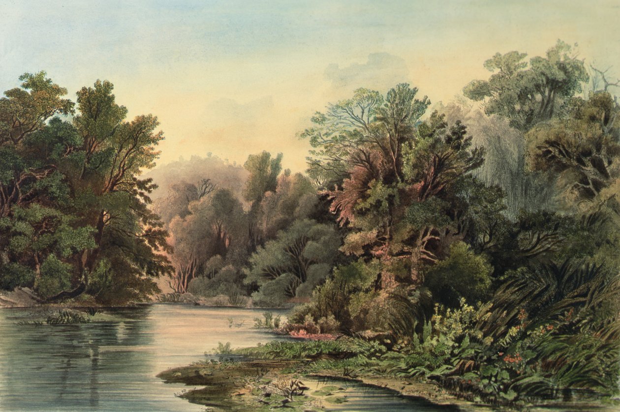  av Karl (after) Bodmer