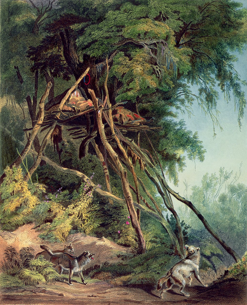  av Karl (after) Bodmer