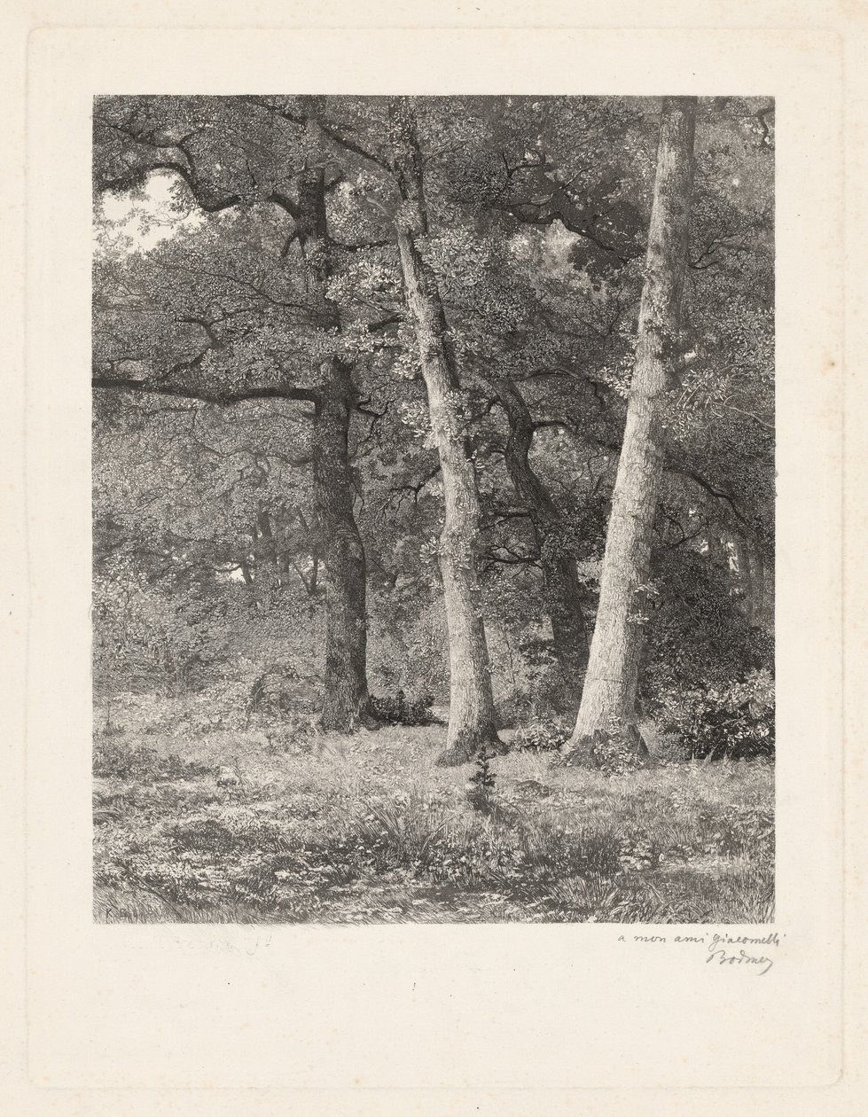 En skogrydding. av Karl Bodmer