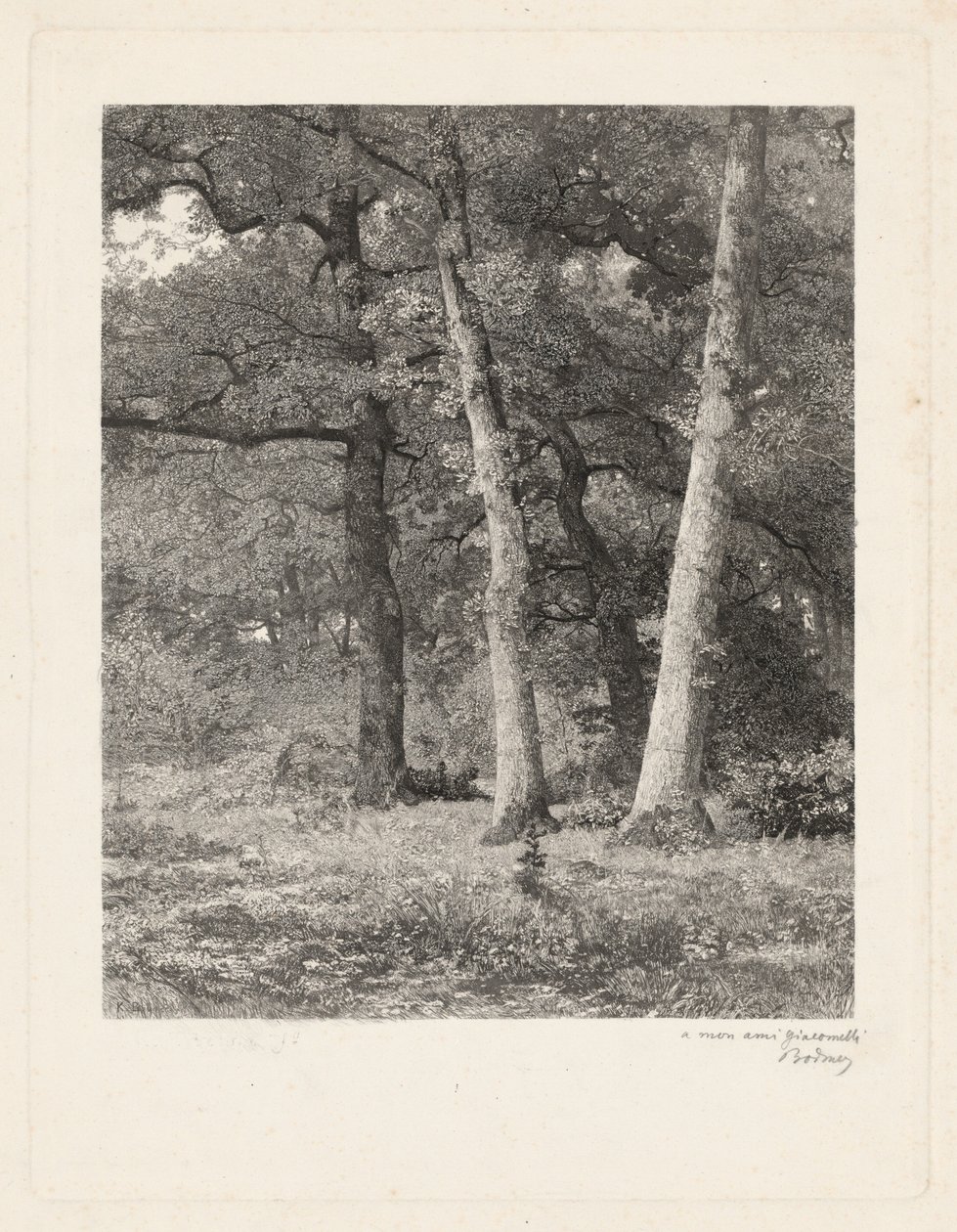 En lysning i skogen av Karl Bodmer