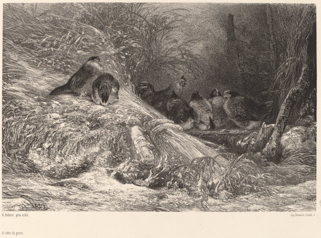 I ly for frost. av Karl Bodmer