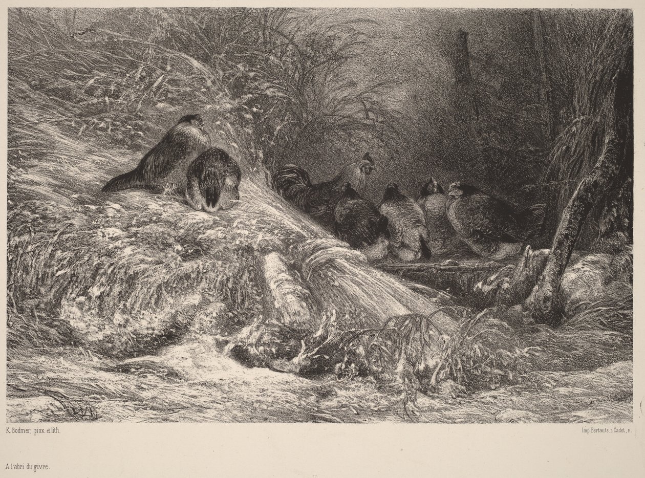 I ly for frosten av Karl Bodmer