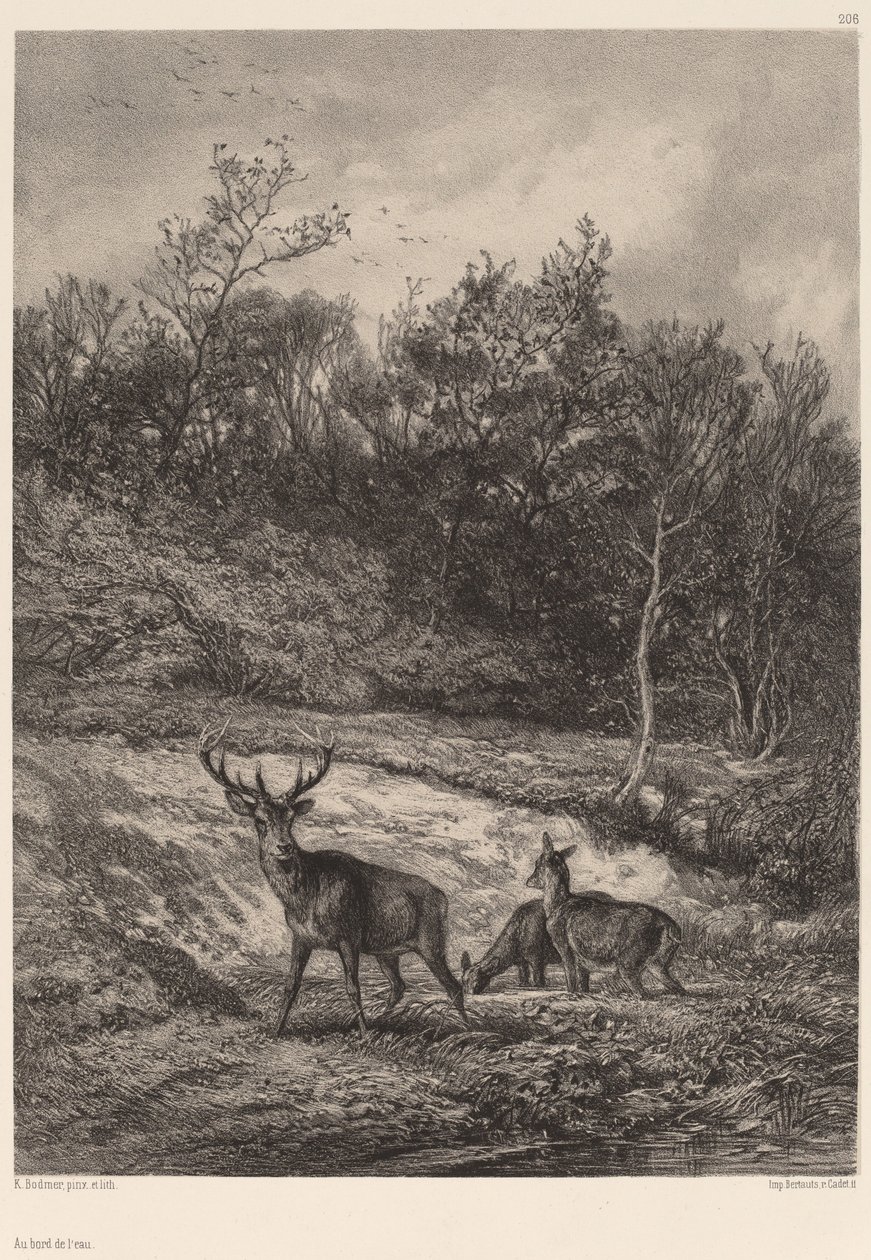 Ved vannkanten av Karl Bodmer