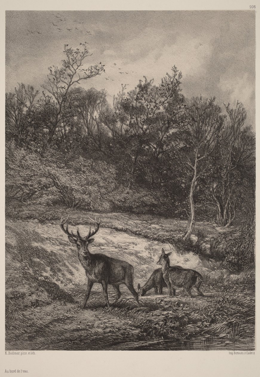 Ved vannet av Karl Bodmer