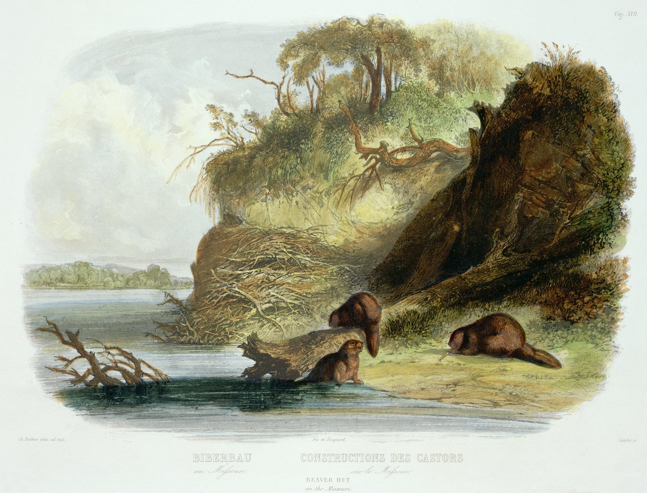 Beaver Hut on the Missouri, plate 17 fra bind 1 av `Travels in the Interior of North America