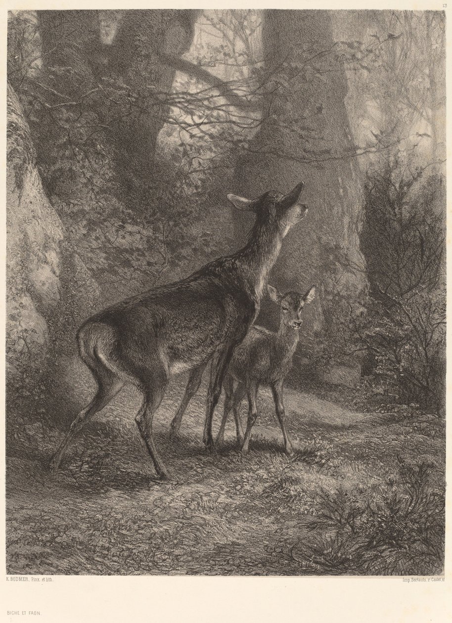 Doe og Fawn. av Karl Bodmer