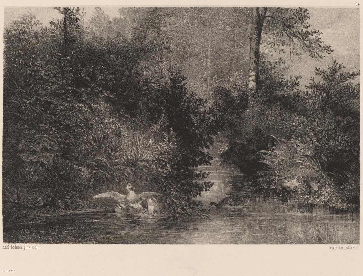 ender av Karl Bodmer