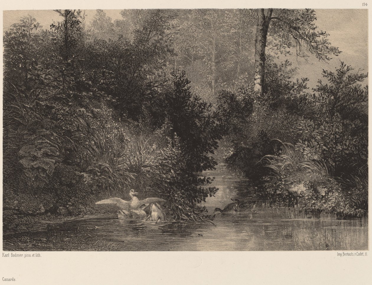 ender av Karl Bodmer