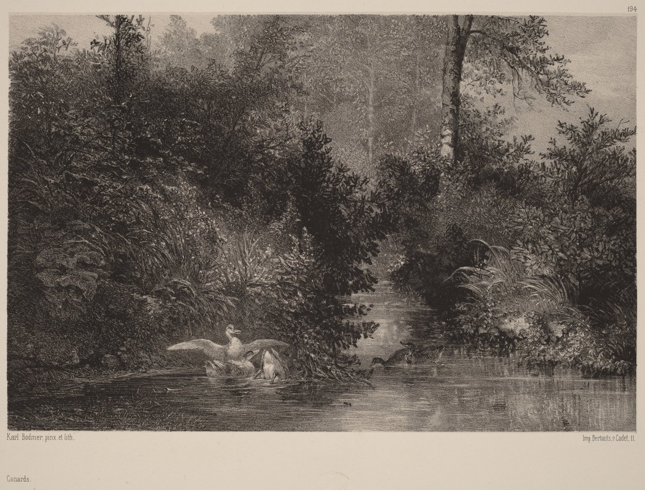 Ender av Karl Bodmer