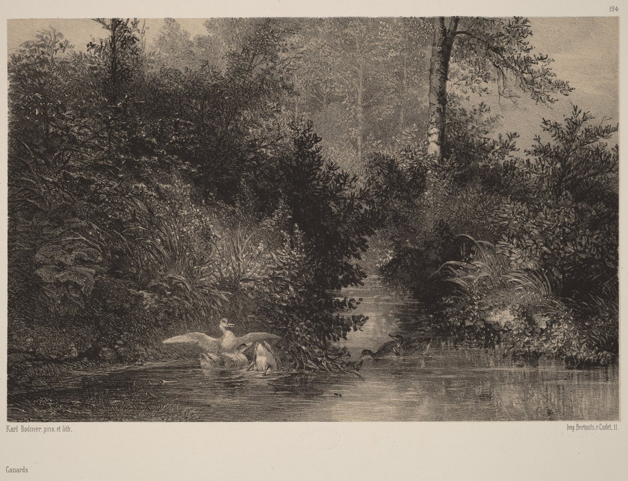 Ender av Karl Bodmer