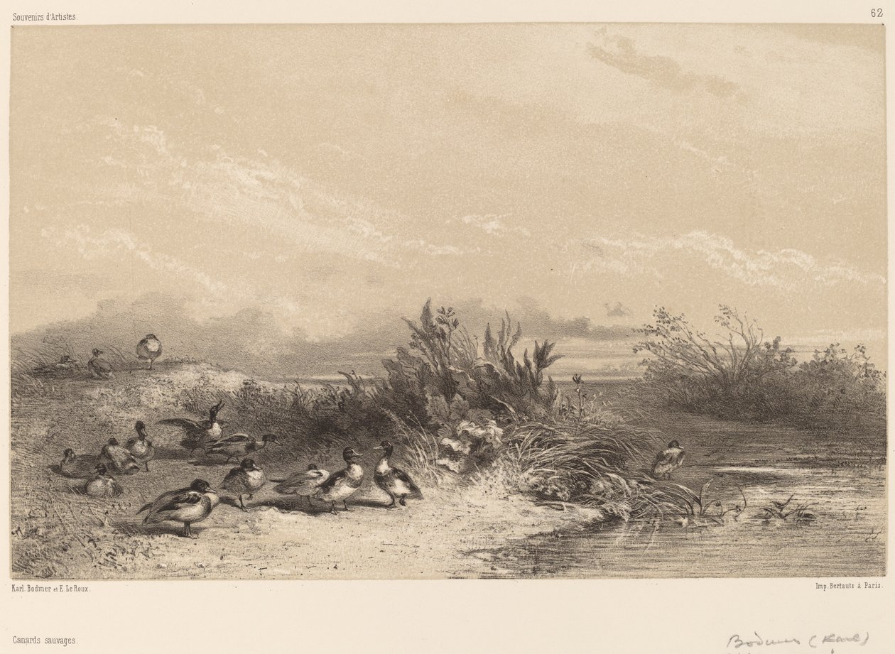 Villender av Karl Bodmer
