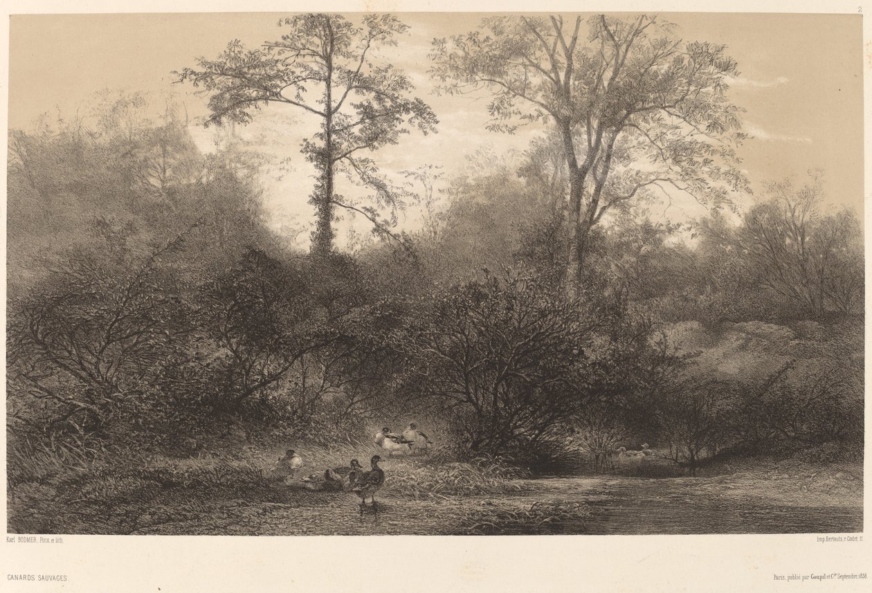 Villender av Karl Bodmer