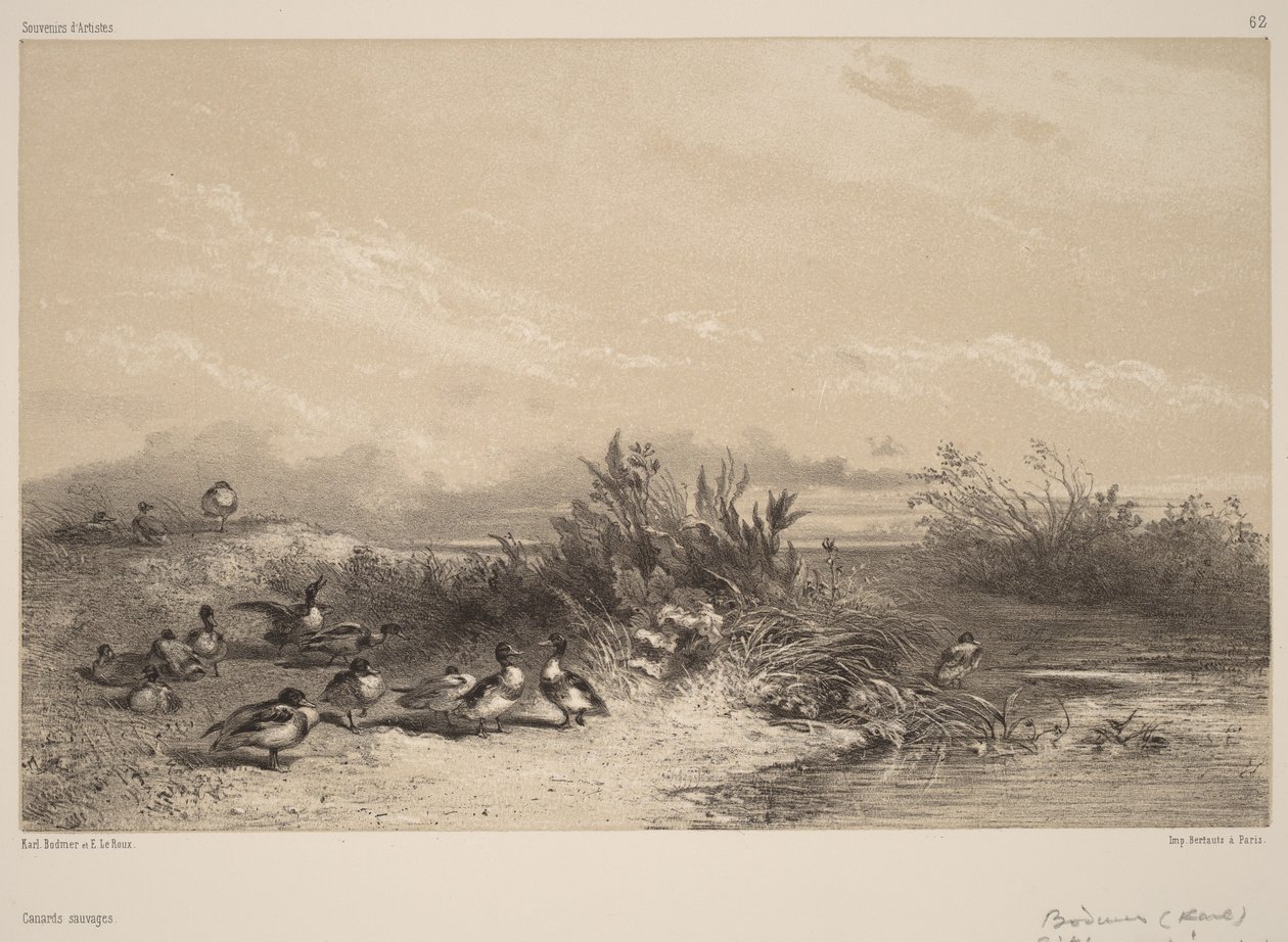 Villender av Karl Bodmer
