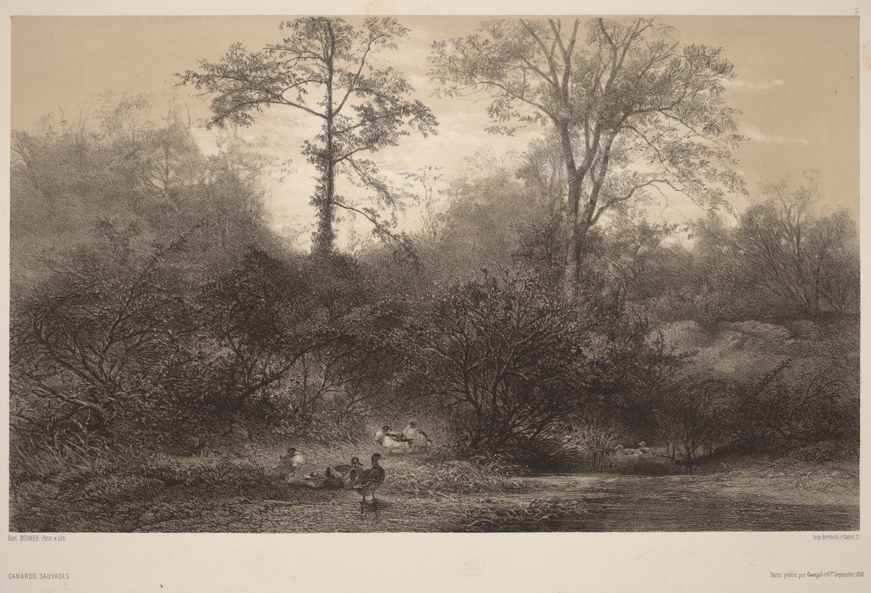 Villender av Karl Bodmer