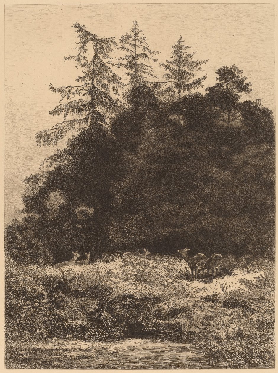 Dåhjort i en park av Karl Bodmer