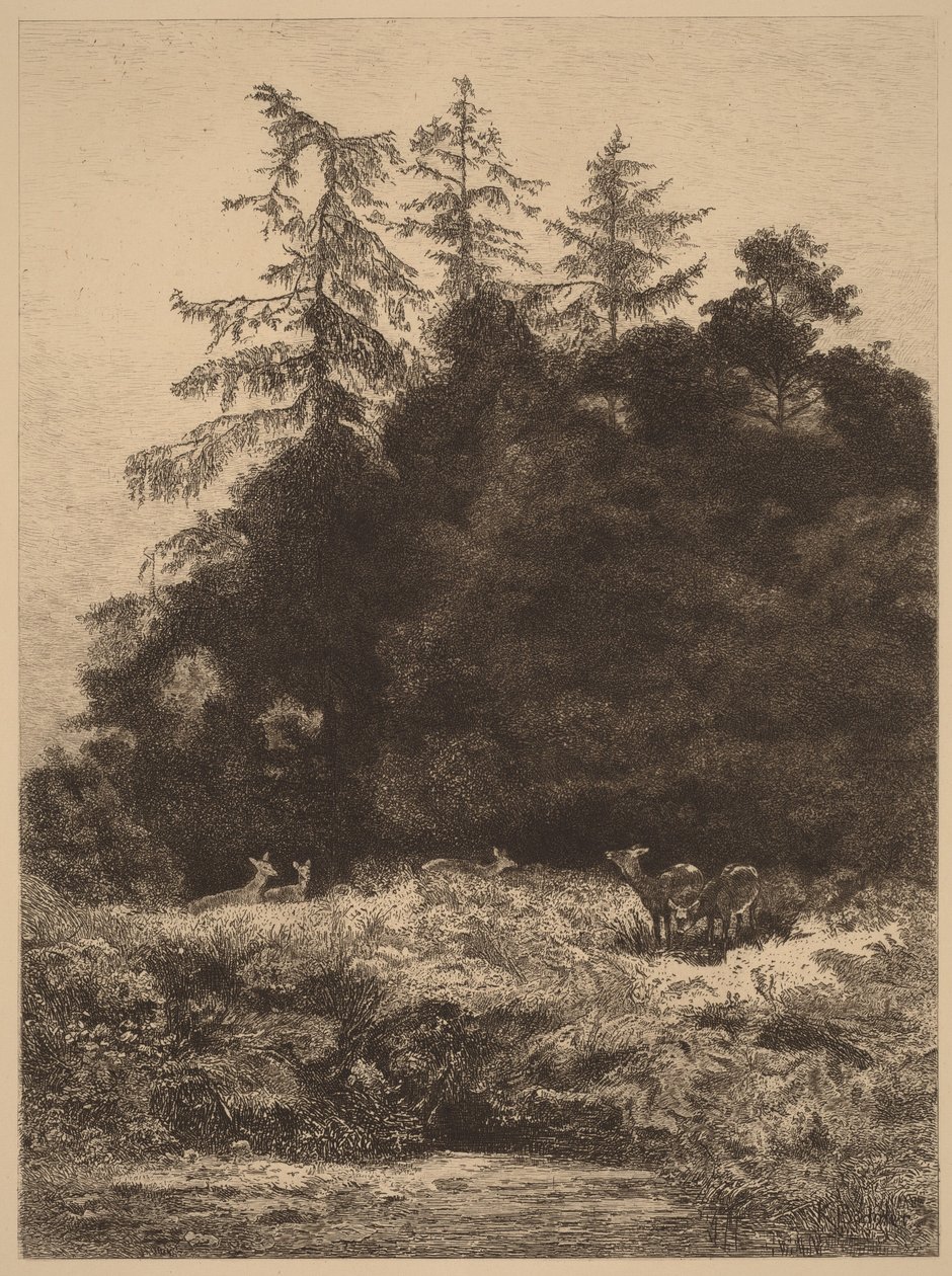 Dåhjort i en park av Karl Bodmer