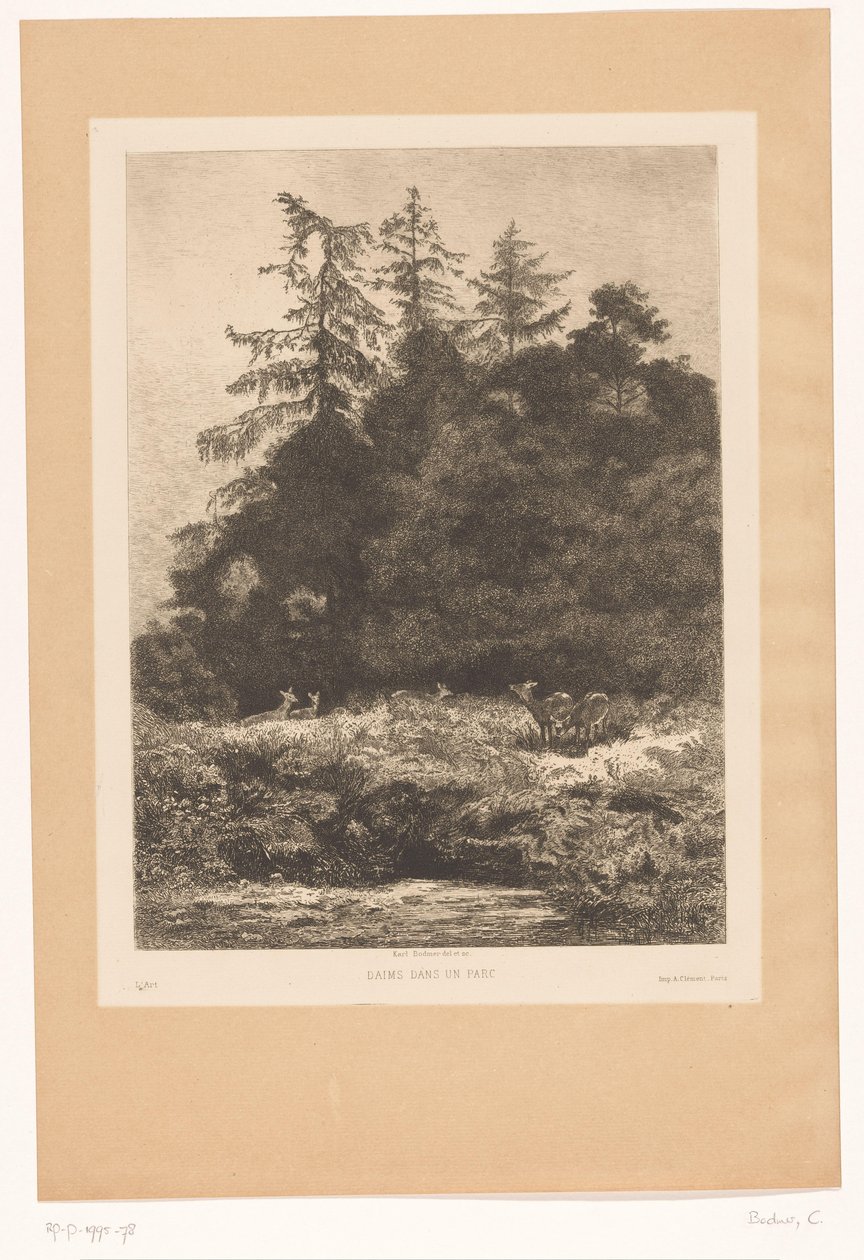 Hjort i utkanten av en skog Daims dans un parc (tittel på objekt) av Karl Bodmer