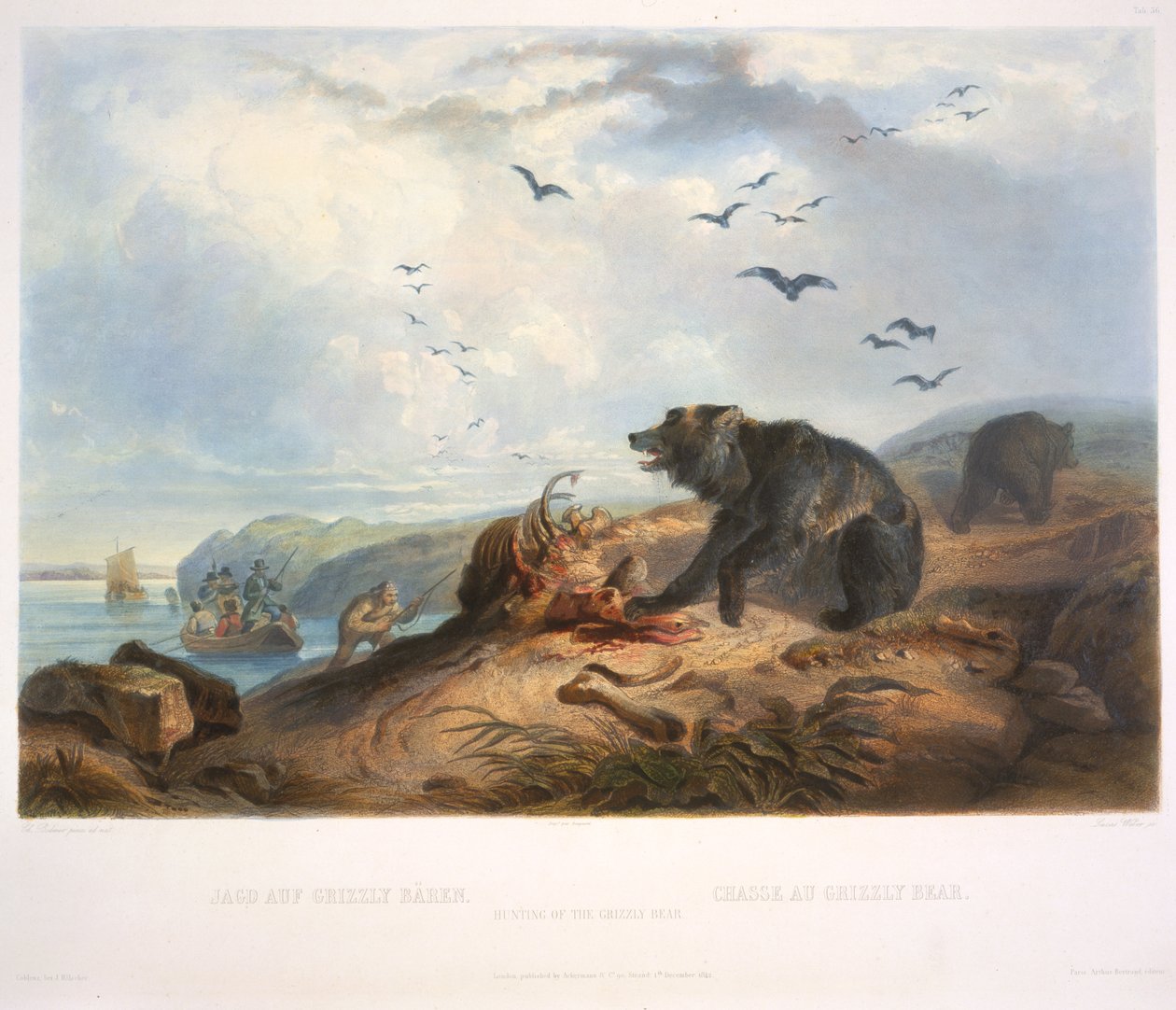 Jakt på Grizzlybjørnen av Karl Bodmer
