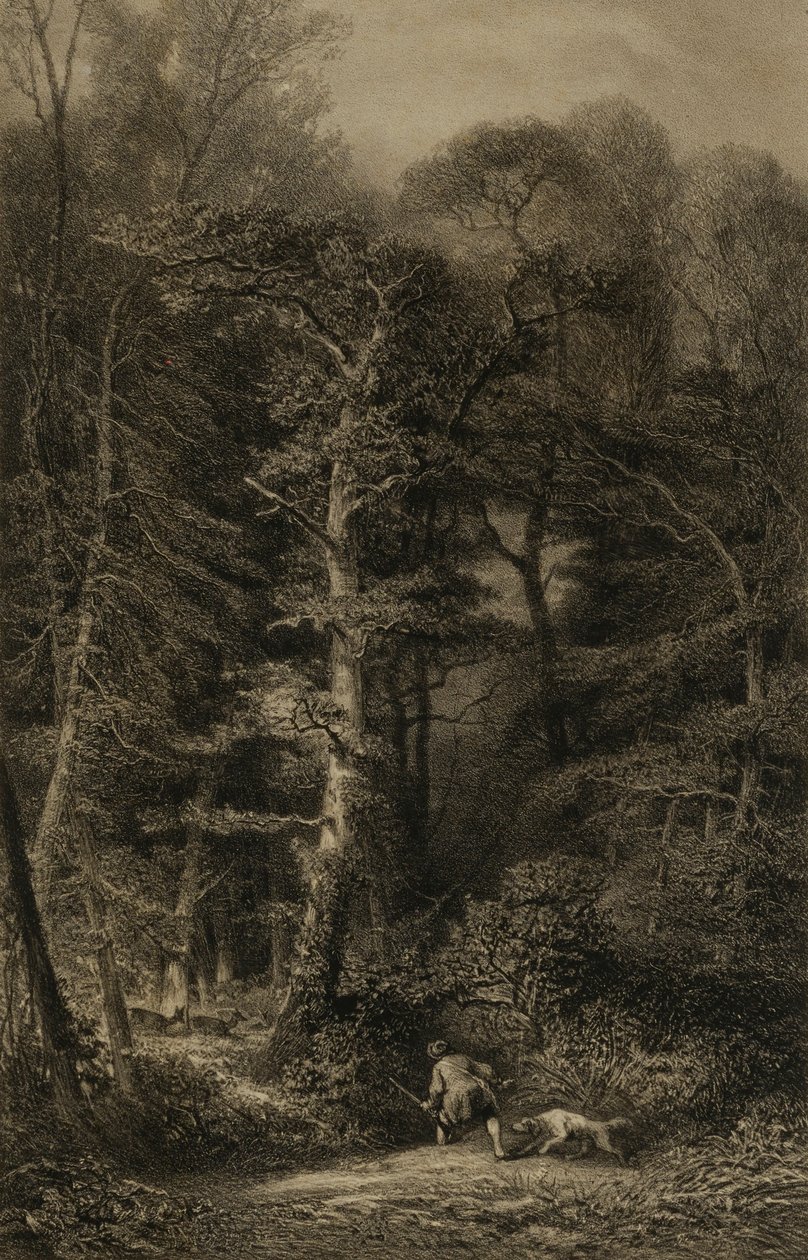  av Karl Bodmer