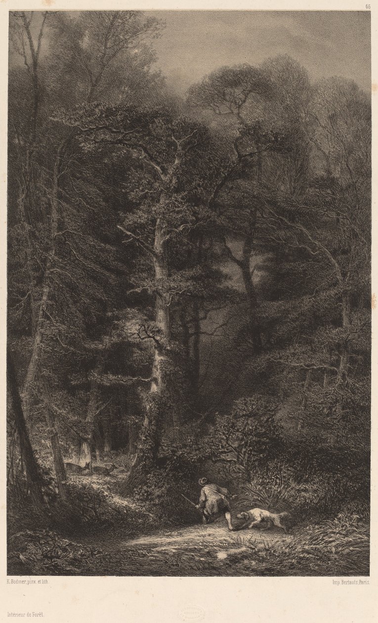 Interiør i skogen. av Karl Bodmer