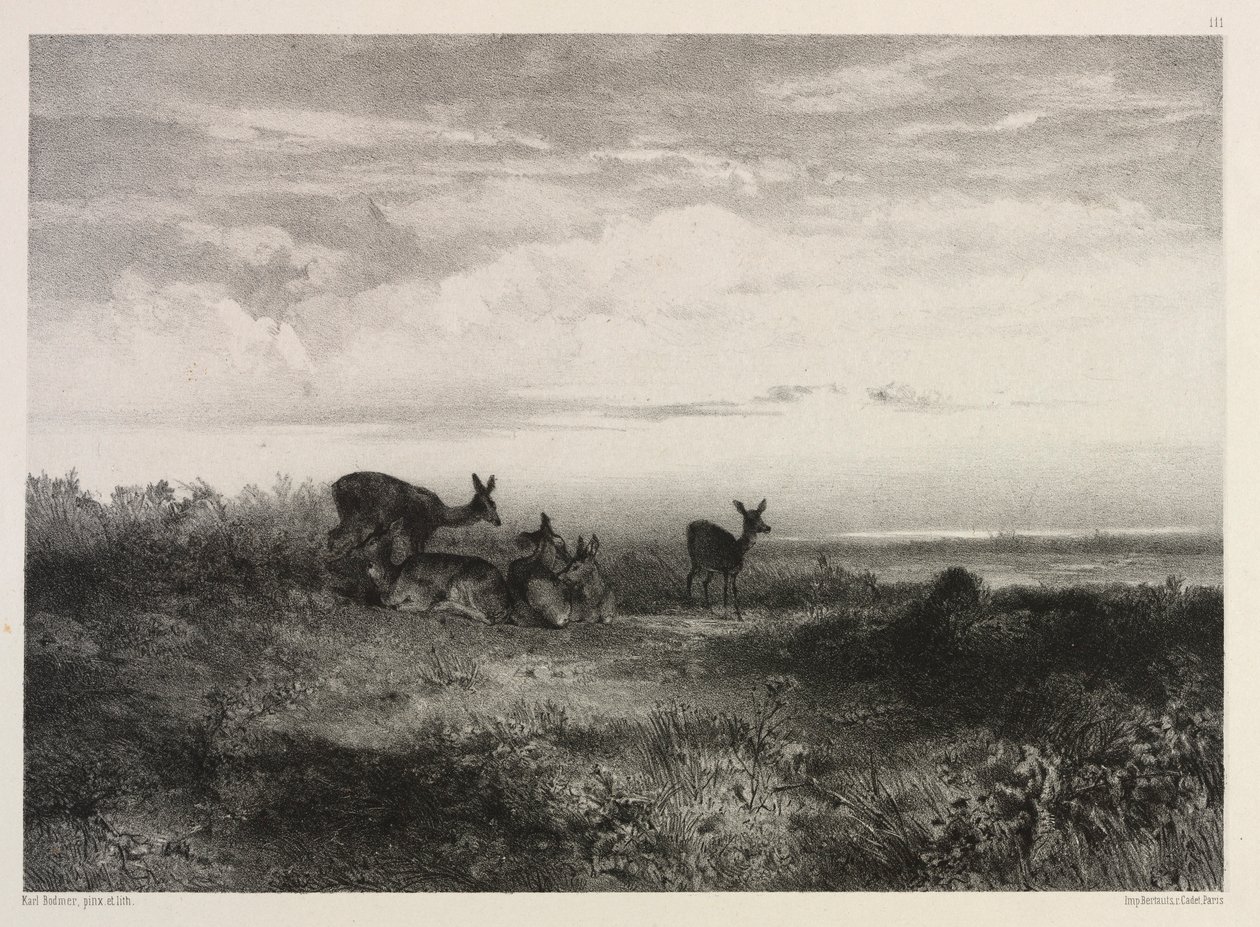 Landskap med hjort, ca. 1840. av Karl Bodmer