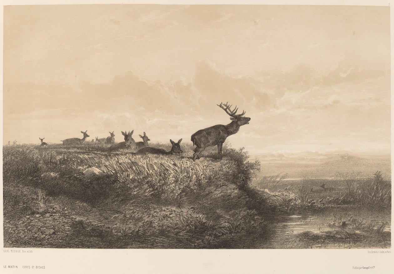 Morgenen. av Karl Bodmer