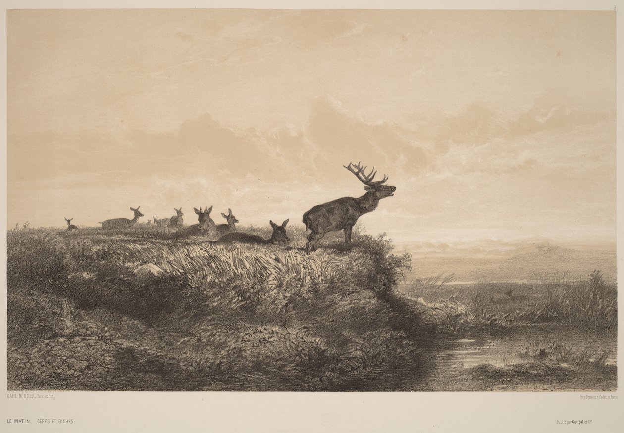 Morgenen av Karl Bodmer