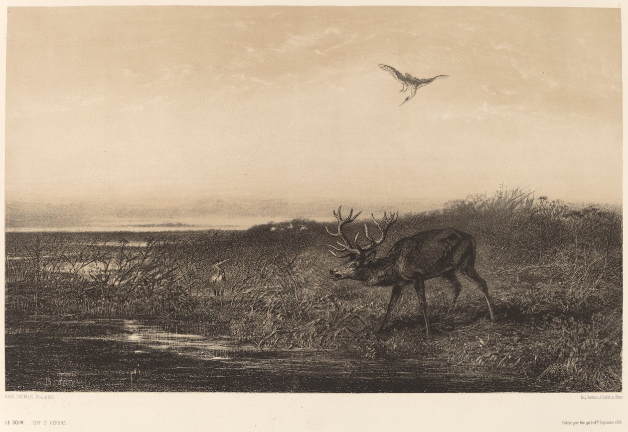 Kvelden. Hjort og hegre av Karl Bodmer