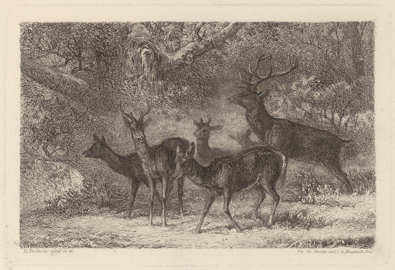 flokken av Karl Bodmer