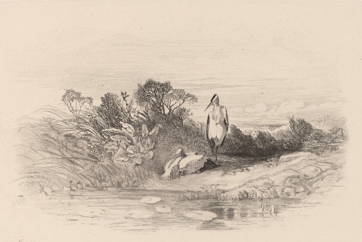 De to hegre. av Karl Bodmer