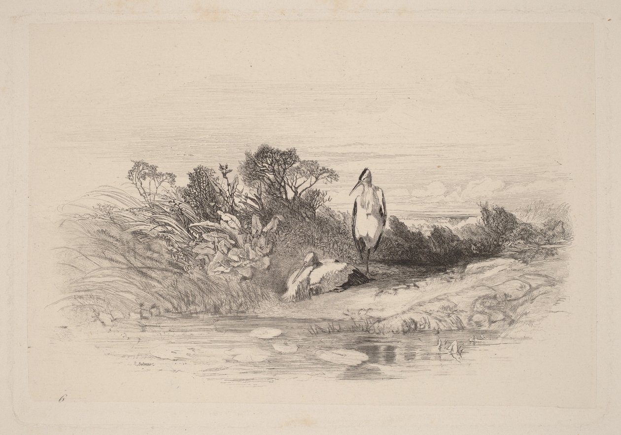 De to hegrene av Karl Bodmer