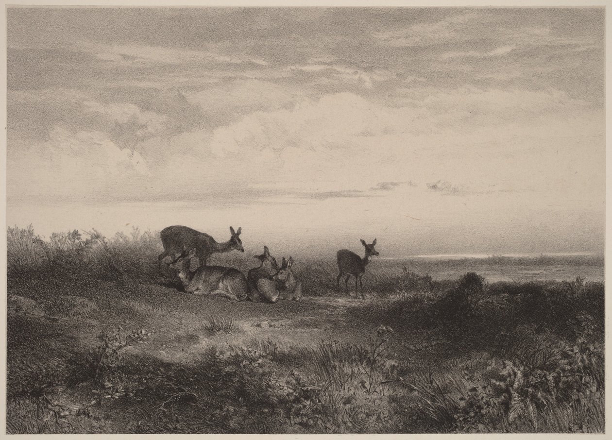 Hindene av Karl Bodmer
