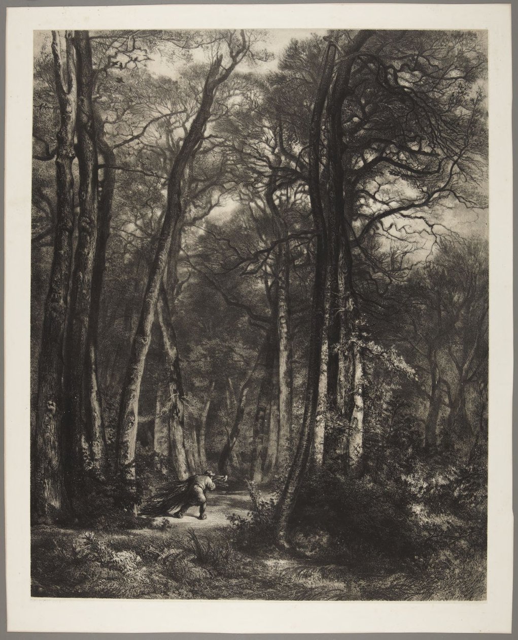 Mann i skogen av Karl Bodmer