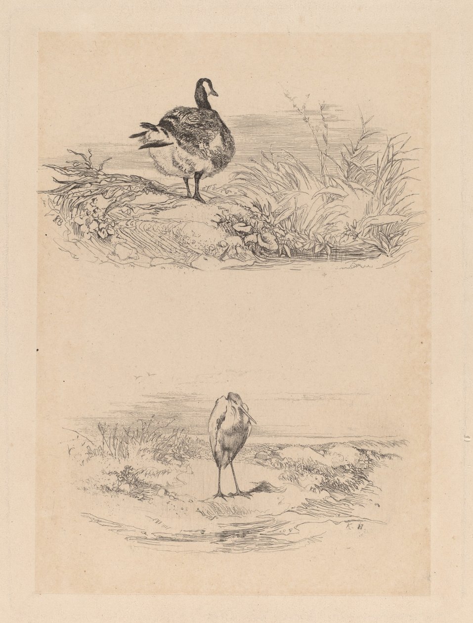 Hei, Heron av Karl Bodmer
