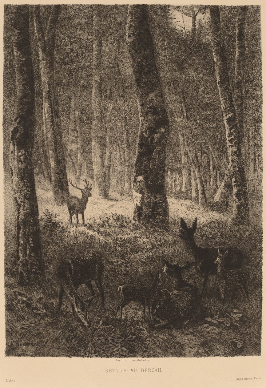 Hjemme igjen. av Karl Bodmer