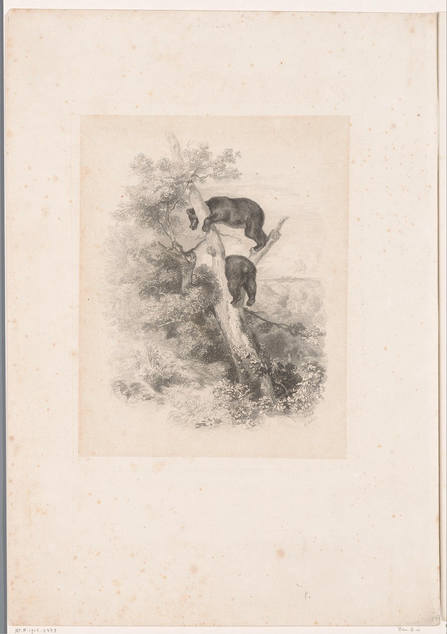 To bjørner i et tre Landskap med dyr (serietittel) av Karl Bodmer