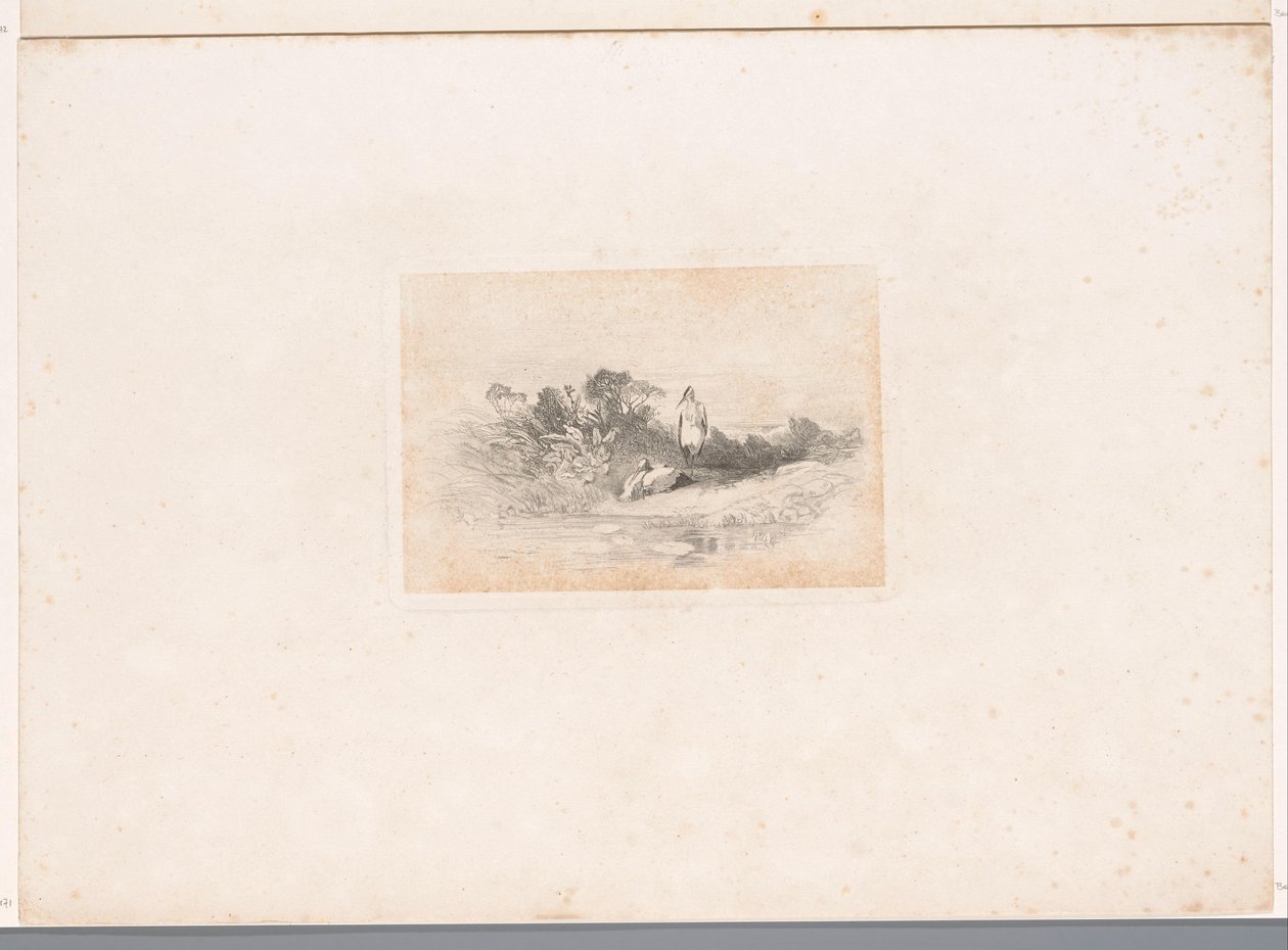 To hegre ved vannkanten Landskap med dyr (serietittel) av Karl Bodmer