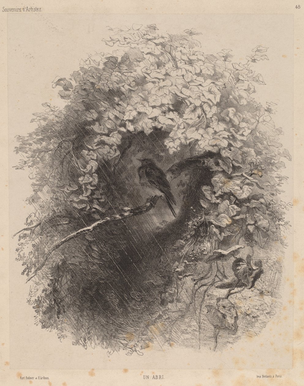 Et tilfluktsrom av Karl Bodmer
