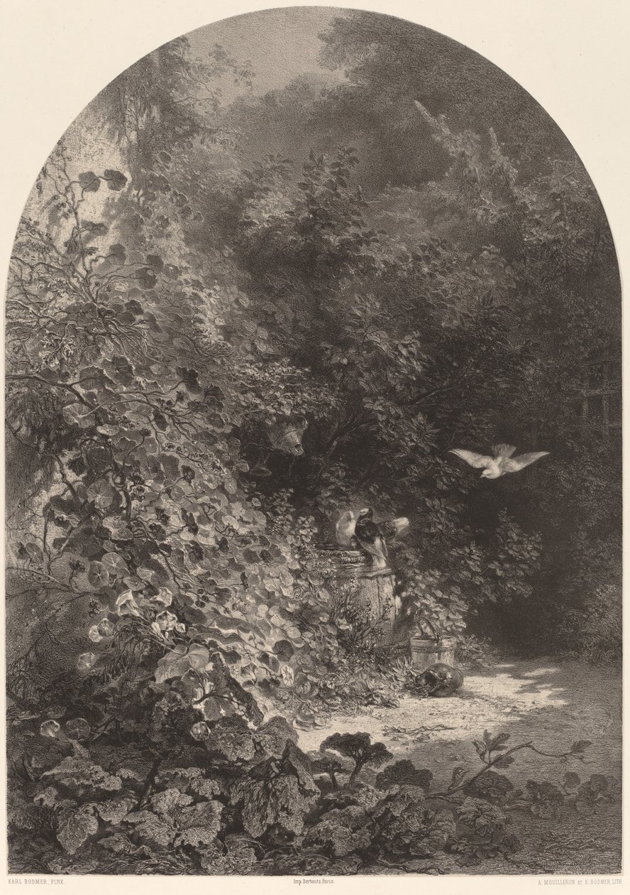 Et hjørne av hagen av Karl Bodmer