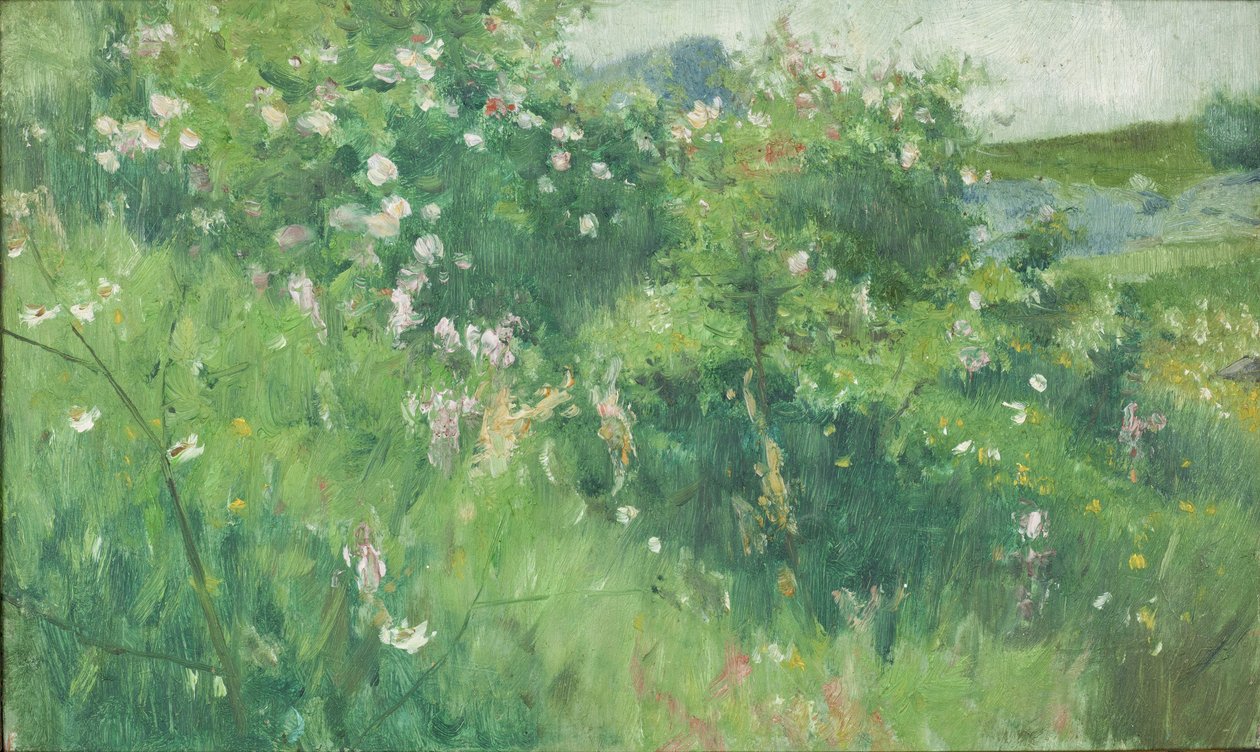 Briar-rosebusker som blomstrer på øya Tjörn av Karl Fredrick Nordstrom