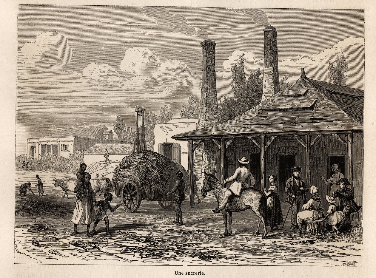 En sukkerfabrikk fra Riviere du Rempart, i Mauritius, tegning av Karl Girardet (1813-1871), for å illustrere Alfred Verneys opphold på Mauritius i 1861. Gravering i “” Le tour du monde””, redigert av Edouard Charton av Karl Girardet