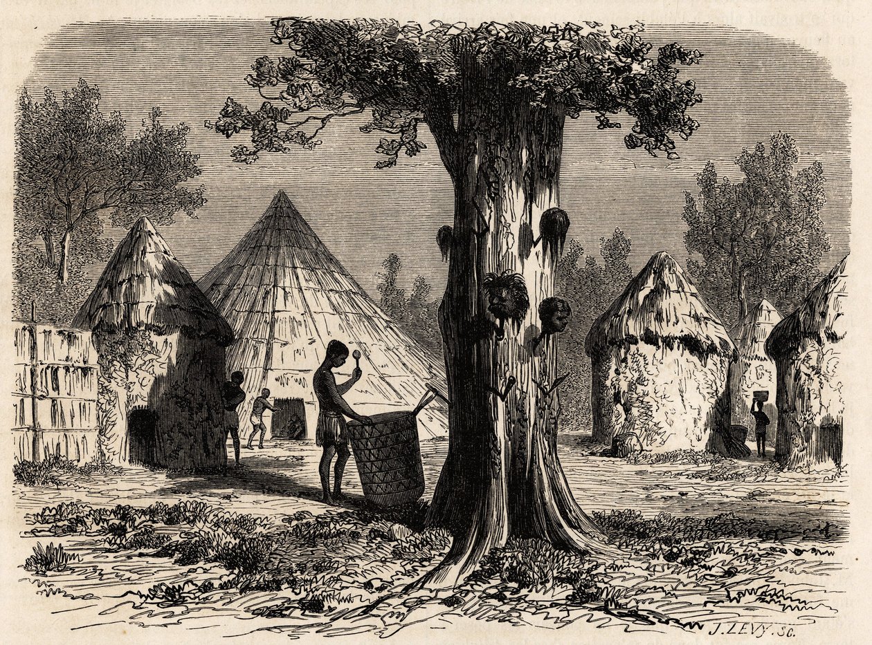 Krigens tre, i en landsby Djour, Bahr-el-Gazal-regionen, Sudan, tegning av Karl Girardet (1813-1871) for å illustrere reisen til elven til gasellene i A. Bolognesi, i 1856-1857. Gravering i "" Le tour du monde"", redigert av Edouard Charton av Karl Girardet