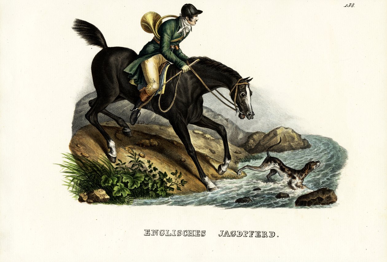 Engelsk jegerhest, 1824 av Karl Joseph Brodtmann
