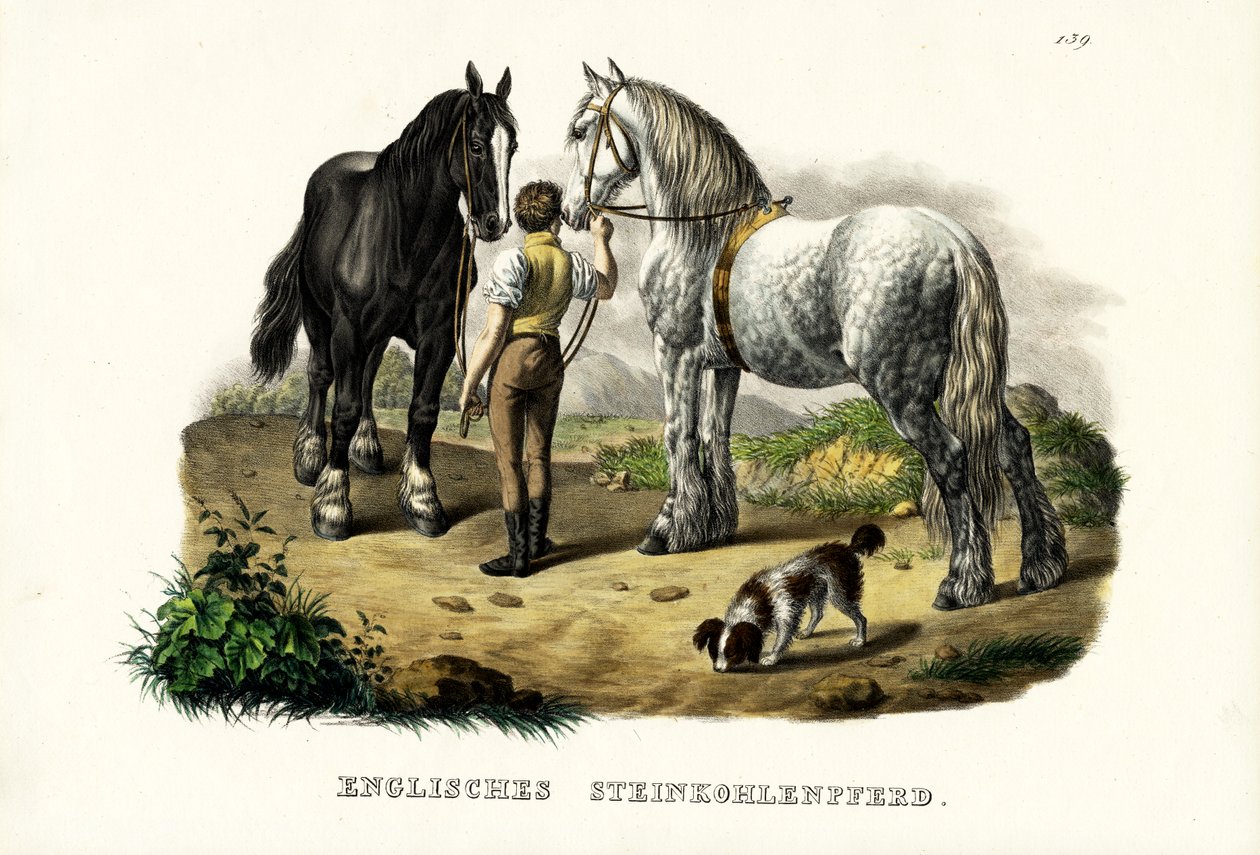 English Pit Horse, 1824 av Karl Joseph Brodtmann