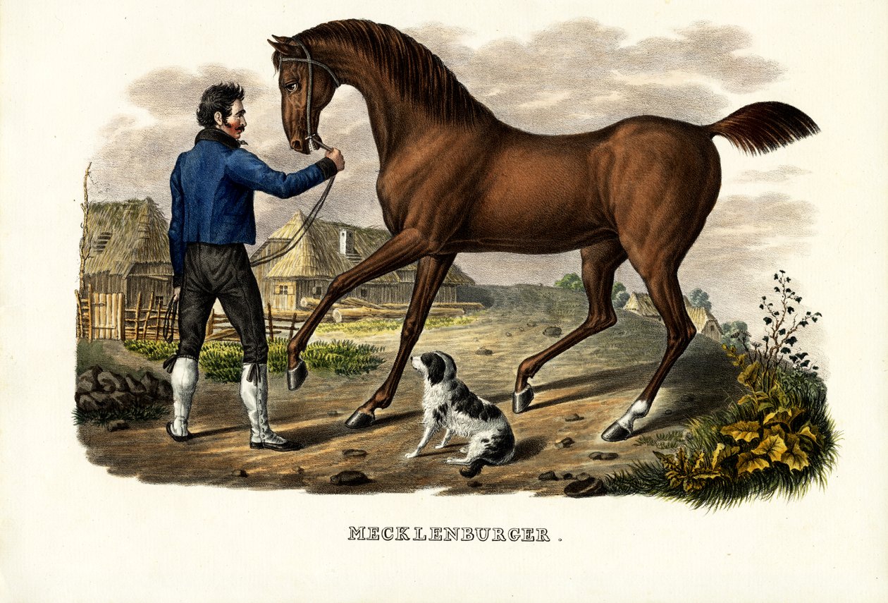 Mecklenburger Horse, 1824 av Karl Joseph Brodtmann