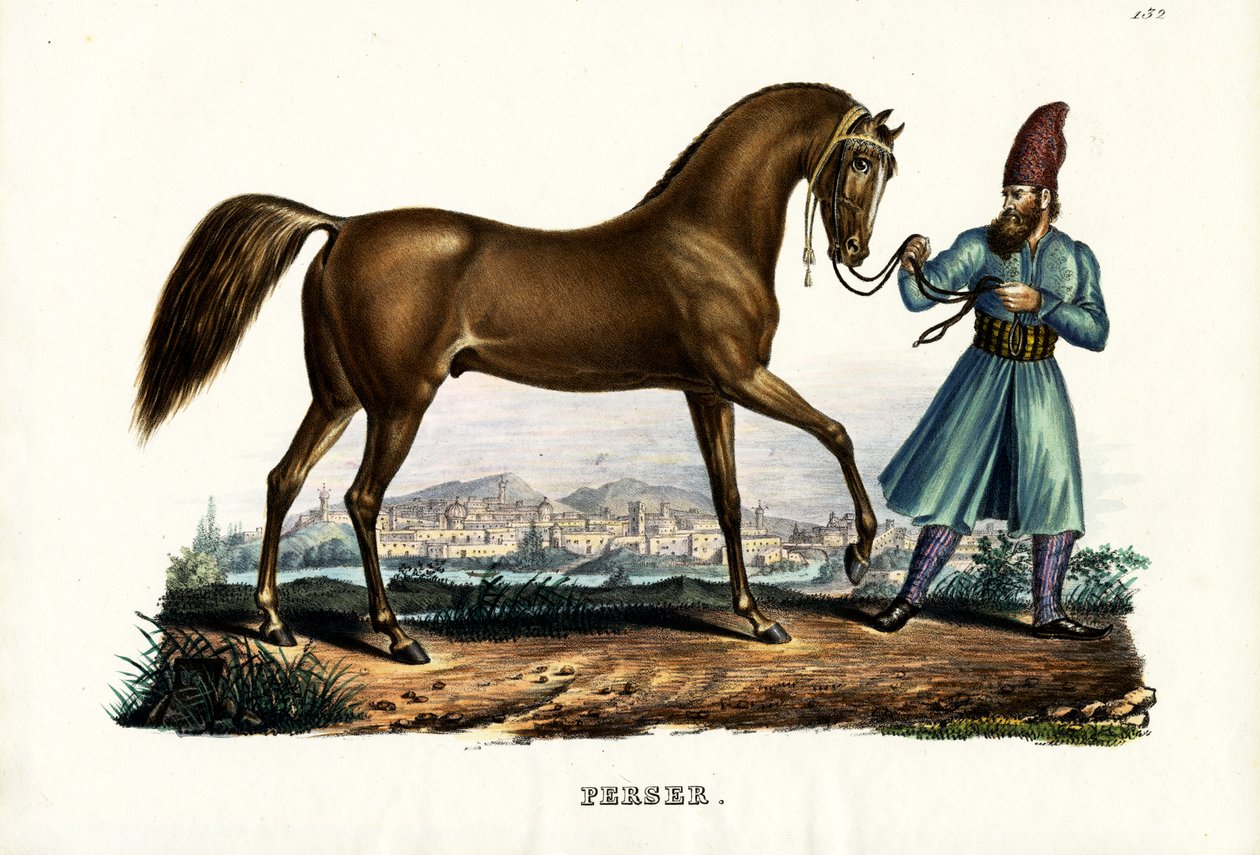 Persisk hest, 1824 av Karl Joseph Brodtmann