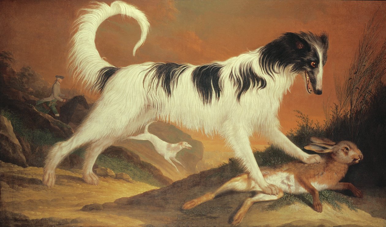 Hund og hare av Karl Kaspar Pitz