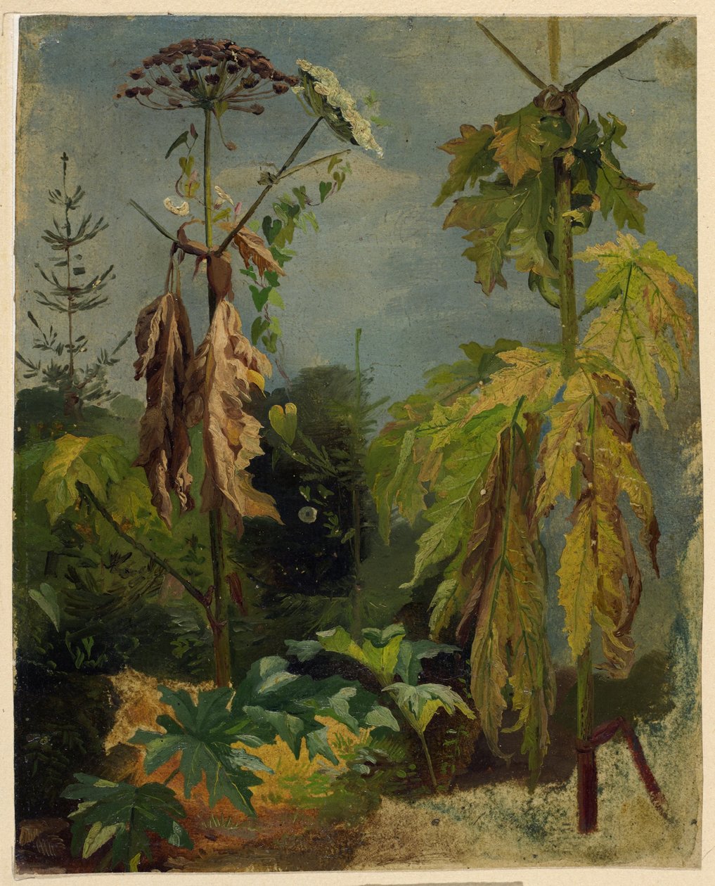 Hemlock studie av Karl Ludwig Seeger