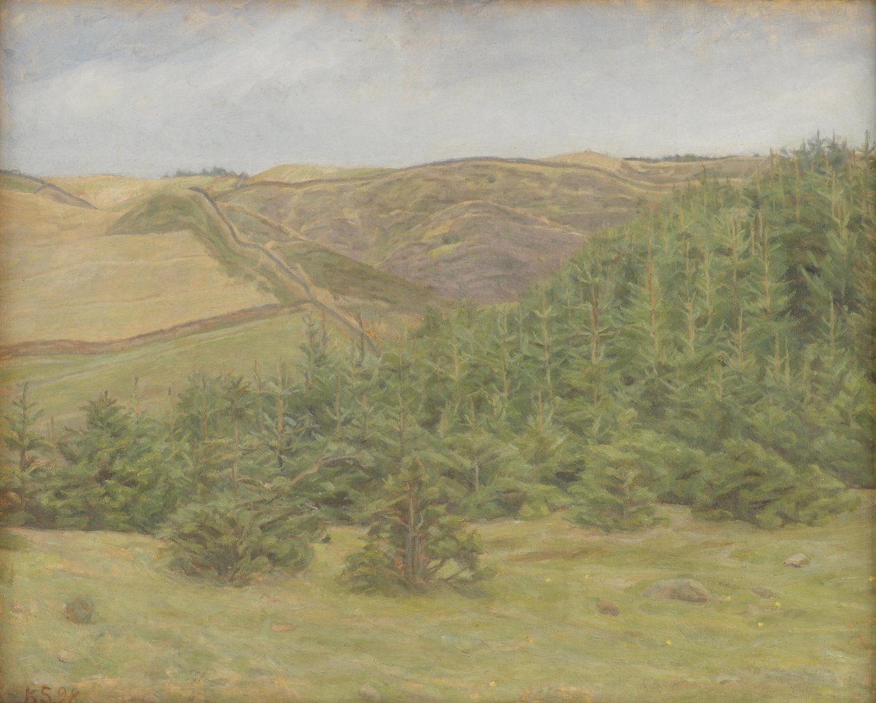 Svanninge Hills, Fyn av Karl Schou