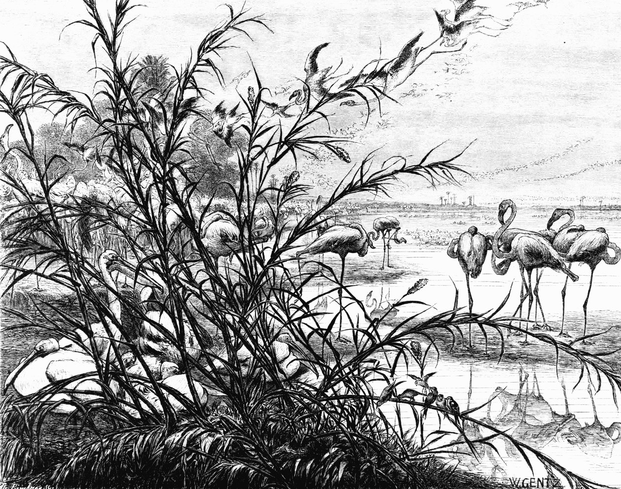 A Parliament of Birds on the Lake Menaleh, 1880 av Karl Wilhelm Gentz